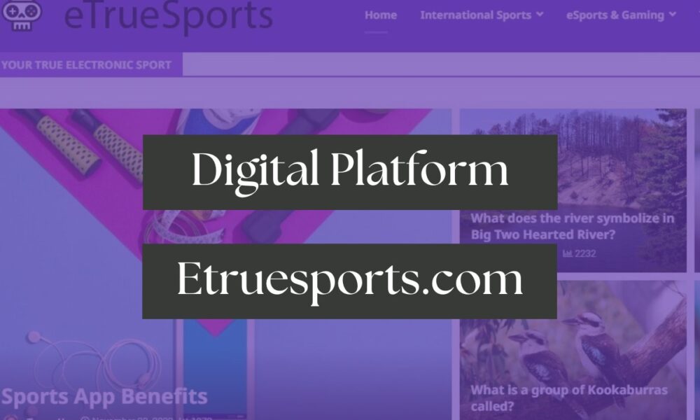 Digital Platform