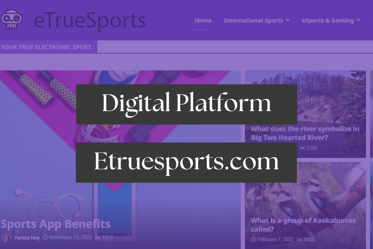 Digital Platform