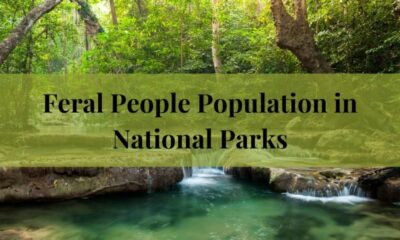 Feral People Population in National Parks