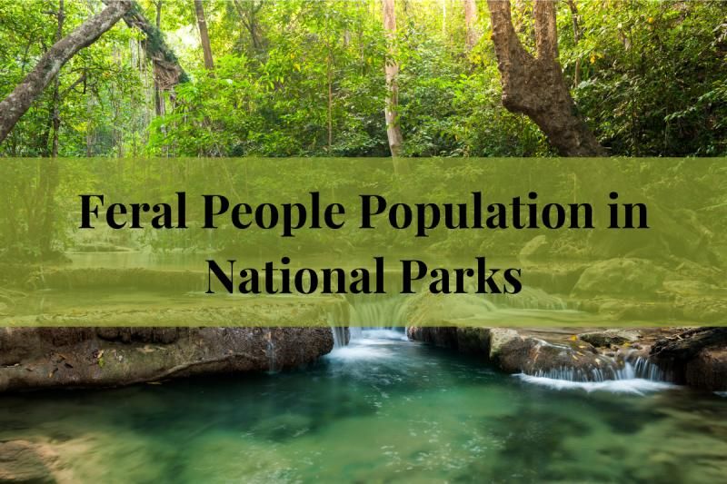 Feral People Population in National Parks