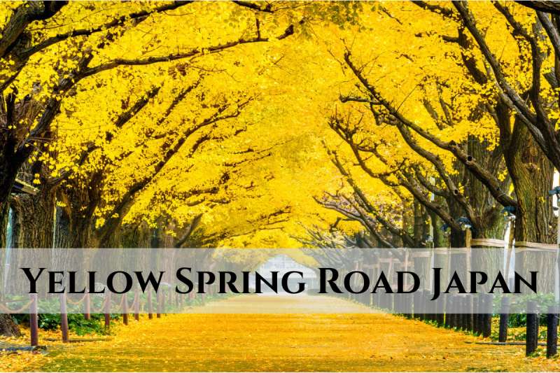 Yellow Spring Road Japan