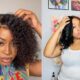 Natural Hair Wigs