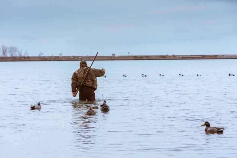 The Ultimate Guide to Choosing the Best Duck Decoys for Your Hunt