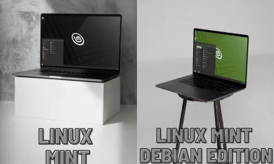 Linux Mint vs. LMDE