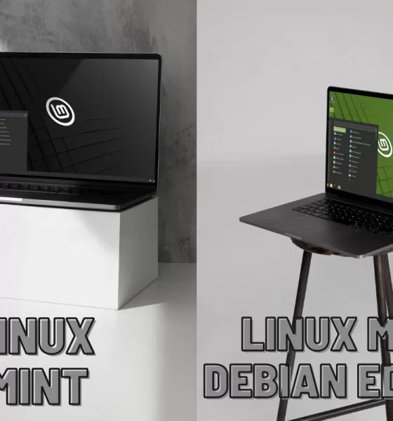 Linux Mint vs. LMDE