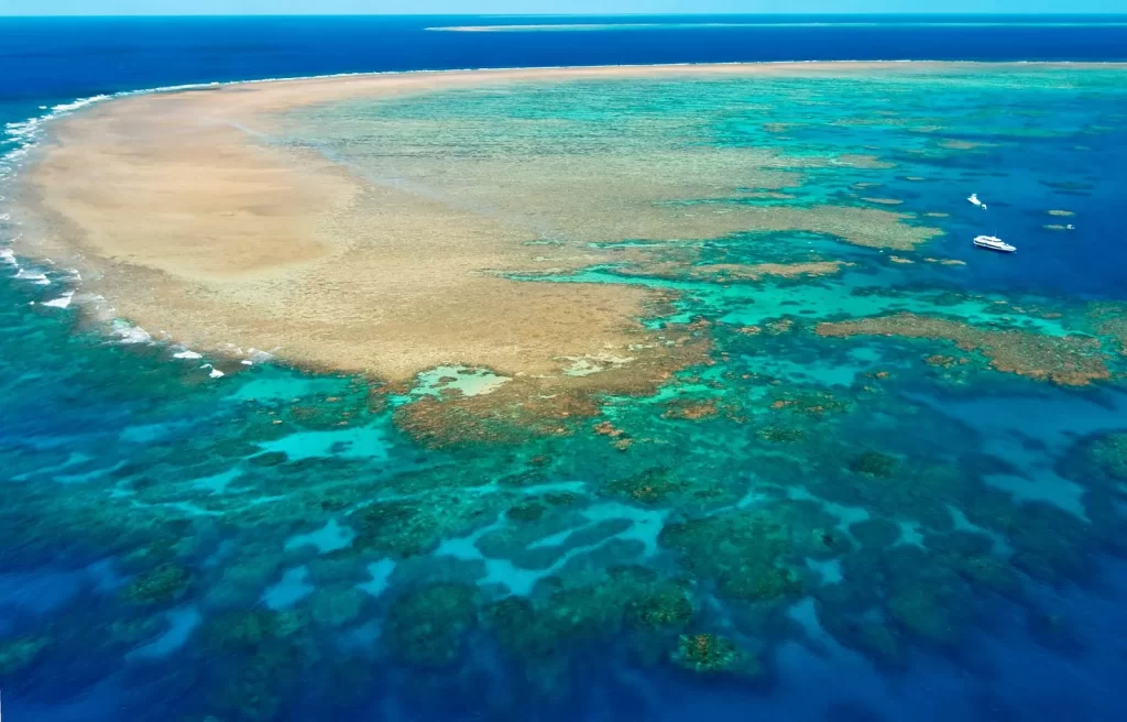 The Great Barrier Reef