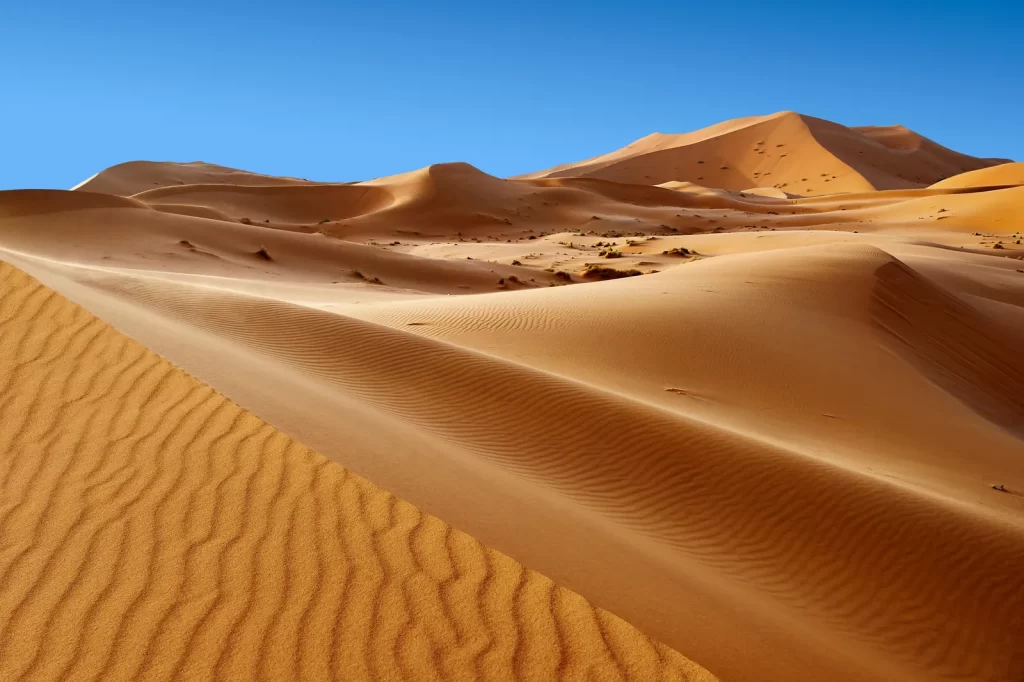 The Sahara Desert